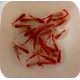 GF -P. ROSSI_(SPECIAL) - SARASA REDWHITE  6-7 CM 